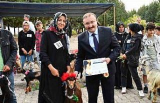 Emet’te oğlaklar podyuma çıktı