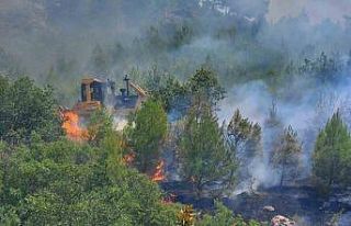En sıcak günde ormancılar ’Yeşil Vatan’da...