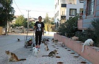 Enkaz kentin kedilerinin Gürcü annesi