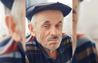 Erik ağacından düşen yaşlı adam hayatını kaybetti