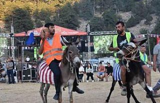 Eşek üzerinde ellerindeki topla gol atmak için...