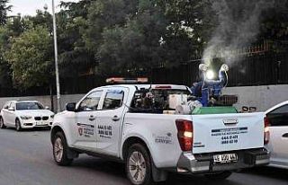 Esenyurt’ta sinek ve haşerelere karşı ilaçlama...