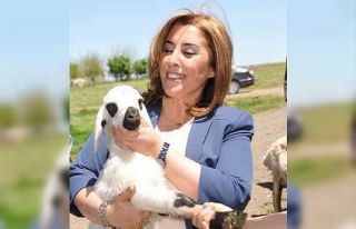 Eski HDP’li Belediye Eş Başkanı tutuklanarak...