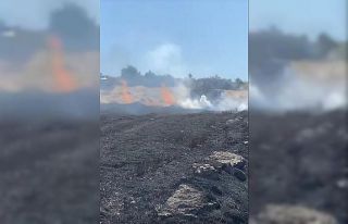 Eskişehir’de 60 dönüm tarım arazisi yangında...