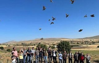Eskişehir’de keklik avına yasak