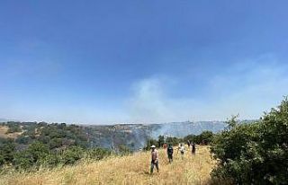 Eşme’de ağaçlı alanda çıkan yangın korkuttu