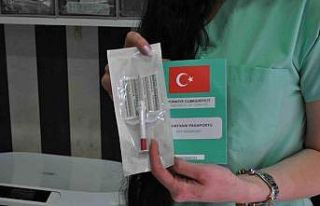 Evcil hayvanıyla birlikte seyahat etmeyi düşünenler...