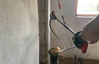 Eve giren yılanı ekipleri itfaiye çıkarttı