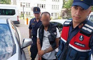 Evlerden hırsızlık yapan şahıs tutuklandı