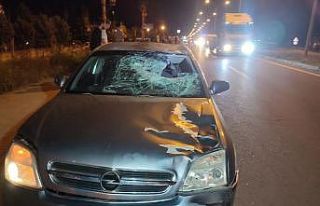 Feci kazada hayatını kaybeden çocuğa böyle müdahale...