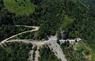 Felçli eşini sırtında taşıyan kadının imdadına...