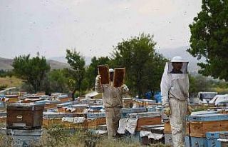 Fenni arıcılık kredi desteği