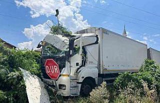 Freni boşalan römorklu kamyon önce ağaca, sonra...