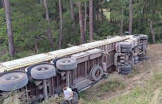 Freni boşalarak devrilen kamyonun sürücü hayatını...