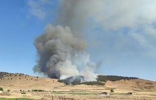 Gaziantep’te korkutan orman yangını