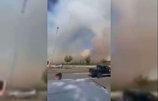 Gaziantep’te orman yangını