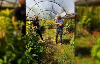 Gazipaşa İlçe Tarım fide ve fidan denetimi yaptı