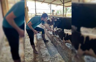 Gazipaşa’da 7 bin hayvan aşılandı