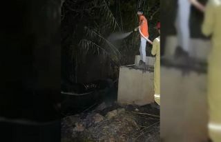 Gazipaşa’da hazineye ait bozuk ormanlık alanda...