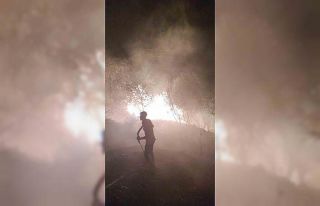 Gazipaşa’da yangın paniği