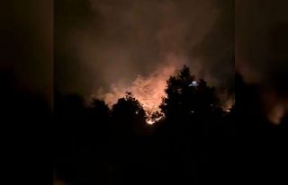 Gazipaşa’daki orman yangınında 3 dönüm alan...