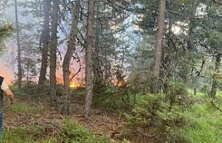 Gediz’de orman yangını büyümeden söndürüldü