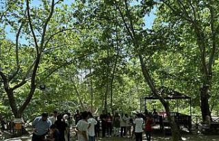 Gelenbe Mesire Alanı sıcak yaz günlerinde serinletiyor