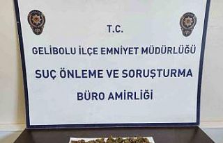 Gelibolu’da sırt çantasından 90 gram skunk çıktı:...