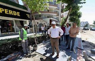 Genel Sekreter Çitfçti, çalışmaları inceledi