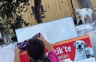 Germencik Belediyesi kavurucu sıcaklarda can dostlar...
