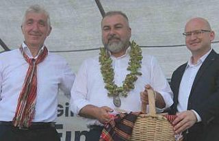 Giresun`da fındık hasadı öncesi köylüler fındık...