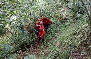 Giresun’da göçük altında aranan şahsın cansız...