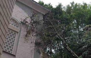 Giresun’da heyelan riski altındaki binalar boşaltılıyor