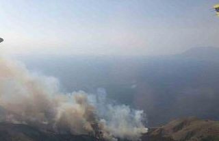 Gökçeada’daki orman yangını kontrol altına...