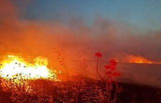 Gönen’de anız yangını, 60 dönüm yer kül oldu