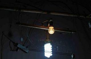 Görme engelli vatandaş sineklerden rahatsız oldu,...