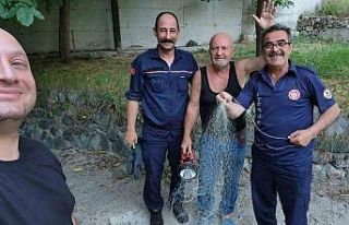 Gümüşhane’de tırıvırıyla kedi kurtarma operasyonu