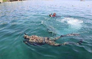 Gündoğan’da deniz dibi temizliği