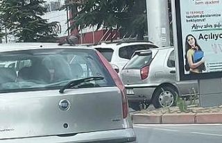 Güvercin otomobilin tavanına kondu, şehir turu...