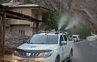 Hakkari’de sivrisinekle mücadele çalışması