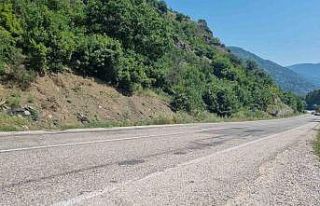 Hastane yolunda hayatını kaybetti