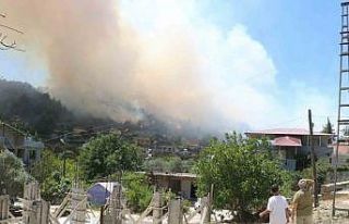 Hatay’da orman yangını