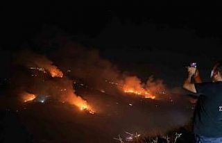 Hatay’da orman yangını büyüyor, 250 hektar zarar...