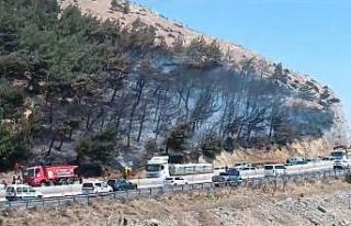 Hatay’da orman yangını, ekiplerin müdahalesi...