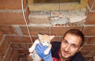 Havalandırma boşluğuna düşen yavru kediyi itfaiye...