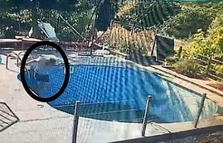 Havuzda elektrik akımına kapıldı, sağ kurtuldu