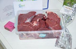 Hayat Ağacı Derneğinde 64 adet büyükbaş 41 adet...