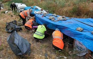 Hayvanseverlerden geleneksel besleme etkinliği