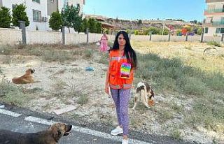 Hayvanseverlerden vatandaşlara ’sıcak hava’...