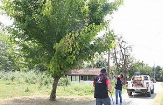 Her yer köşe bucak ilaçlanıyor